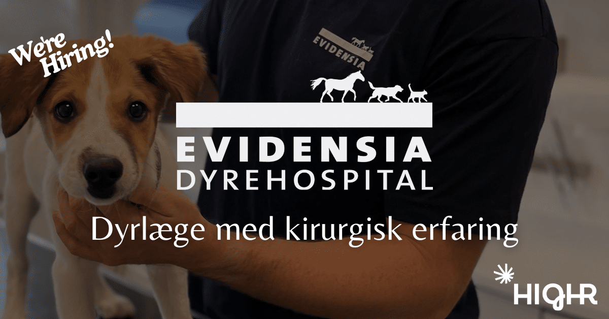 HIGHR rekruttering - Evidensia Teaser - Dyrlæge med kirurgisk erfaring